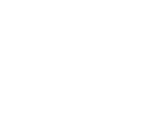 fexi_logo
