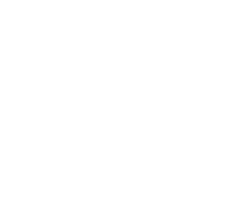 fexi_logo