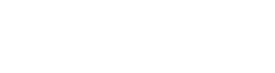 fezen_logo