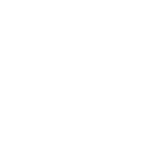 wolfauto_logo